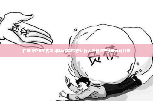 桂东债务业务内容:李扬:微观经济运行要警惕财产债表衰弱打击