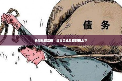 长期负债治理：提高企业负债管理水平