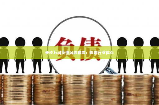 长沙万科负债风险暴露：影响行业信心