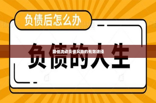 降低流动负债风险的有效途径