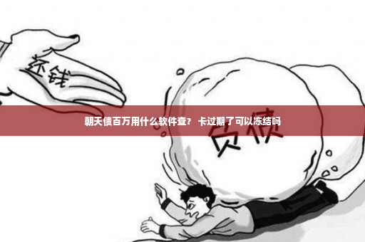 朝天债百万用什么软件查？ 卡过期了可以冻结吗