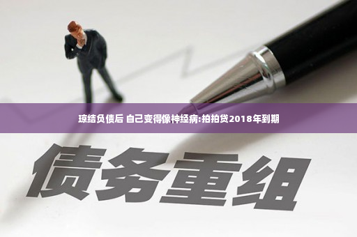 琼结负债后 自己变得像神经病:拍拍贷2018年到期