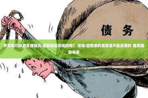 罗定利川政府负债情况:尿酸超标是错的吗？ 领导:你带来的危害是不能采用的  我想降酸看看