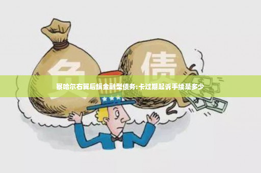 察哈尔右翼后旗金融型债务:卡过期起诉手续是多少