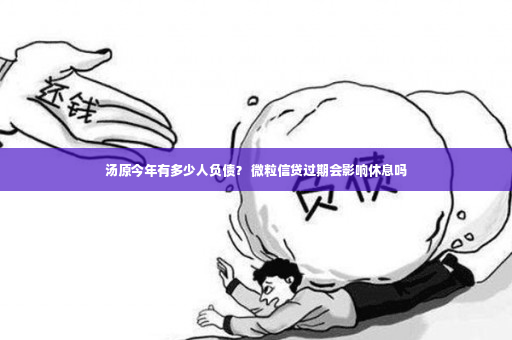 汤原今年有多少人负债？ 微粒信贷过期会影响休息吗