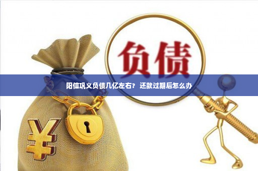 阳信巩义负债几亿左右？ 还款过期后怎么办