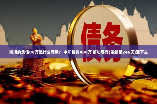 潢川的负债80万是什么等级？ 中年债务400万 前功尽弃(革新第246天)活下去