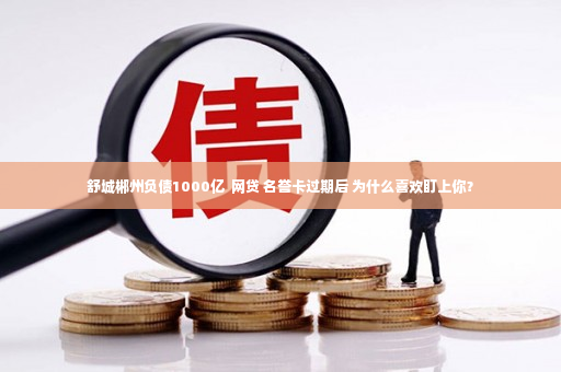 舒城郴州负债1000亿  网贷 名誉卡过期后 为什么喜欢盯上你？