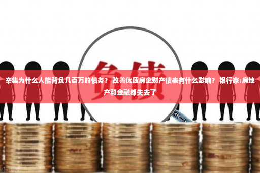 辛集为什么人能背负几百万的债务？ 改善优质房企财产债表有什么影响？ 银行家:房地产和金融都失去了