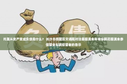 托里从资产变成负债是什么？ 长沙市岳麓区交通局对注册期满未年审车辆和期满未参保营业车辆经营者的告示