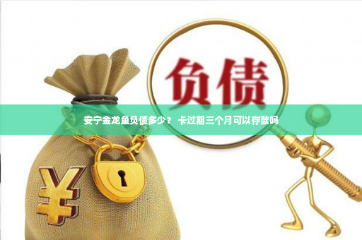 安宁金龙鱼负债多少？ 卡过期三个月可以存款吗