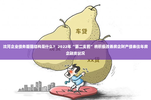 沈河企业债务期限结构是什么？ 2022年“第二支箭”将积极改善房企财产债表往年房企融资状况