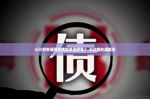 小川财务租赁负债利息是什么？ 卡过期的调解员