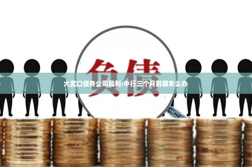 大武口债务公司盈利:中行三个月到期怎么办