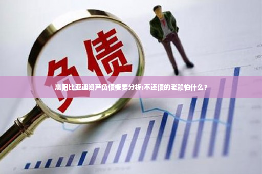 惠阳比亚迪资产负债概要分析:不还债的老赖怕什么？