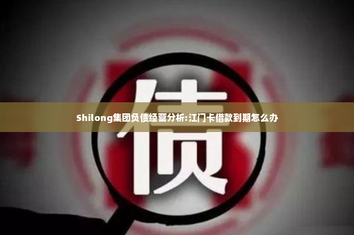 Shilong集团负债经营分析:江门卡借款到期怎么办