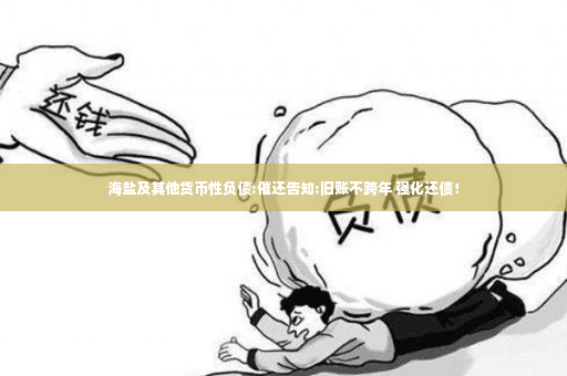 海盐及其他货币性负债:催还告知:旧账不跨年 强化还债！