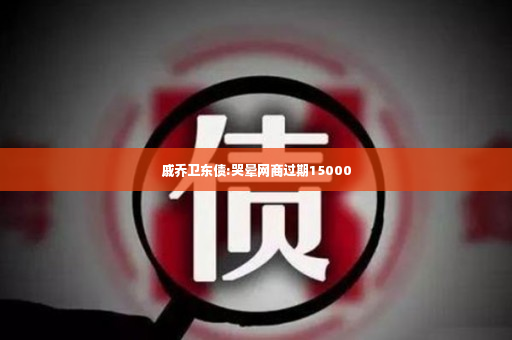 戚乔卫东债:哭晕网商过期15000