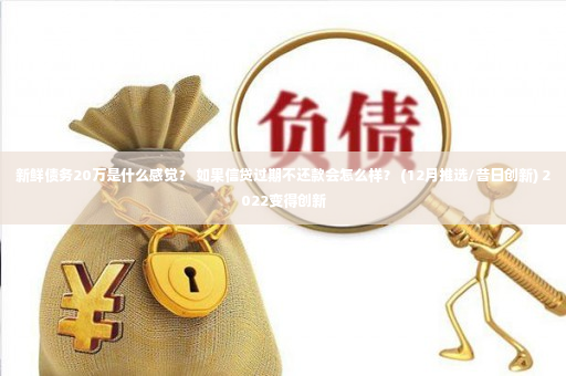 新鲜债务20万是什么感觉？ 如果信贷过期不还款会怎么样？ (12月推选/昔日创新) 2022变得创新