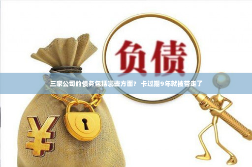 三家公司的债务包括哪些方面？ 卡过期9年就被带走了