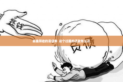 嘉鱼预收的是债务  这个过期的还款怎么还