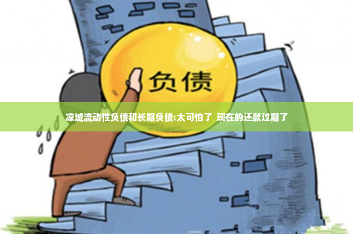 凉城流动性负债和长期负债:太可怕了  现在的还款过期了