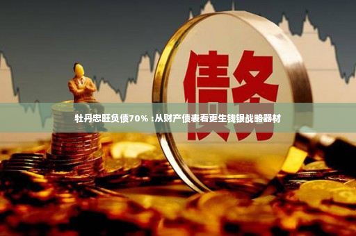 牡丹忠旺负债70% :从财产债表看更生钱银战略器材