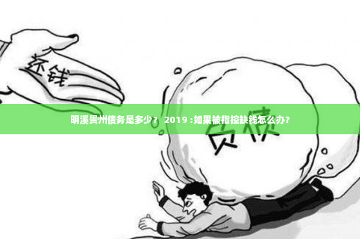 明溪贵州债务是多少？ 2019 :如果被指控缺钱怎么办？