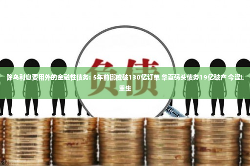 除乌利息费用外的金融性债务: 5年前挪威破130亿订单 华夏码头债务19亿破产 今涅槃重生