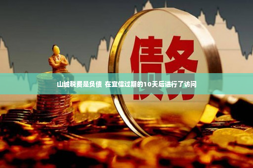 山城税费是负债  在宜信过期的10天后进行了访问