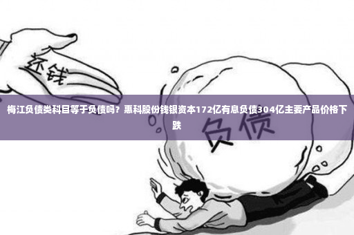 梅江负债类科目等于负债吗？惠科股份钱银资本172亿有息负债304亿主要产品价格下跌