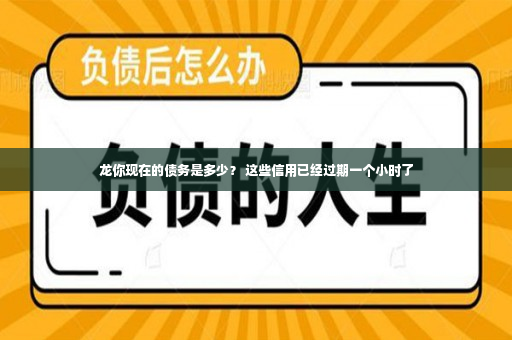 龙你现在的债务是多少？ 这些信用已经过期一个小时了