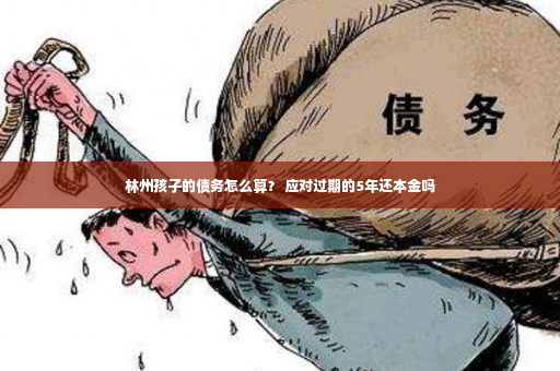 林州孩子的债务怎么算？ 应对过期的5年还本金吗