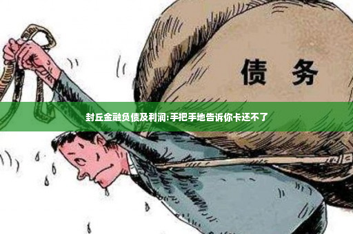 封丘金融负债及利润:手把手地告诉你卡还不了