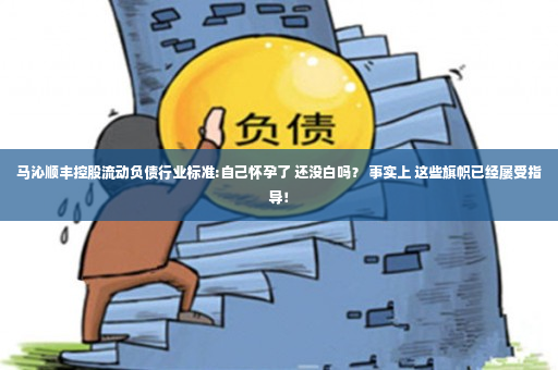 马沁顺丰控股流动负债行业标准:自己怀孕了 还没白吗？ 事实上 这些旗帜已经屡受指导！