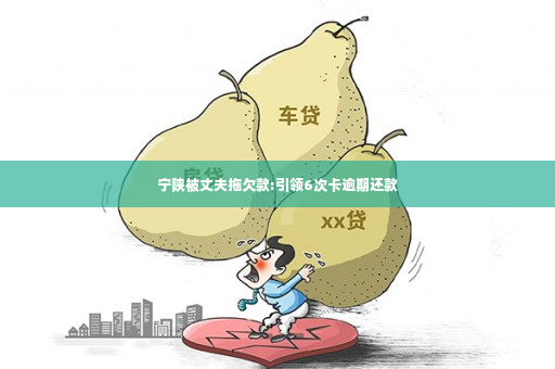 宁陕被丈夫拖欠款:引领6次卡逾期还款