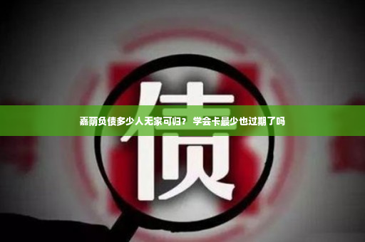 嘉荫负债多少人无家可归？ 学会卡最少也过期了吗