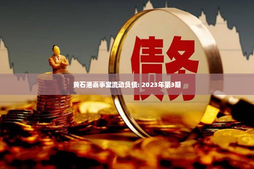 黄石港嘉事堂流动负债: 2023年第3期