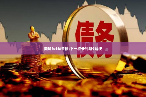 美易fof基金债:下一秒卡到期9解决