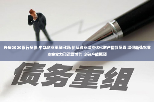 兴庆2020银行负债:中华企业董秘回复:新弘农业增资优化财产借款配置 增强新弘农业资金实力和运营才能 突破产能瓶颈