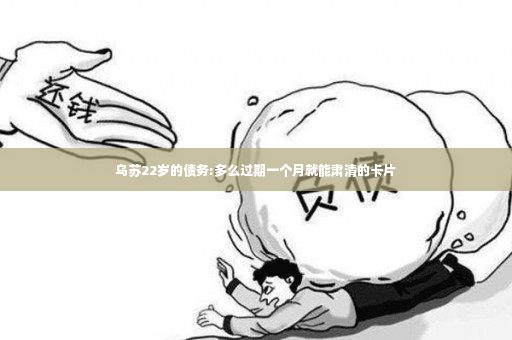 乌苏22岁的债务:多么过期一个月就能肃清的卡片