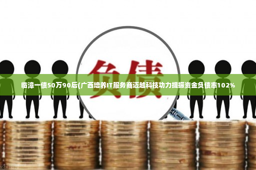 临漳一债50万90后(广西培养IT服务商迈越科技功力提振资金负债率102%