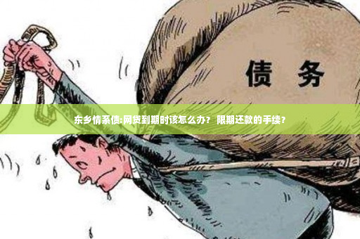 东乡情系债:网贷到期时该怎么办？ 限期还款的手续？