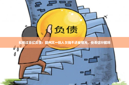 松桃过百亿负债：赣州又一批人欠钱不还被曝光，快看你分解吗