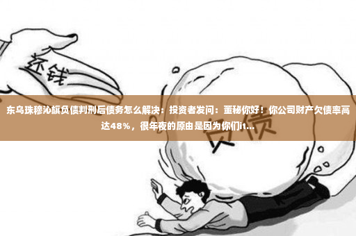 东乌珠穆沁旗负债判刑后债务怎么解决：投资者发问：董秘你好！你公司财产欠债率高达48%，很年夜的原由是因为你们it...