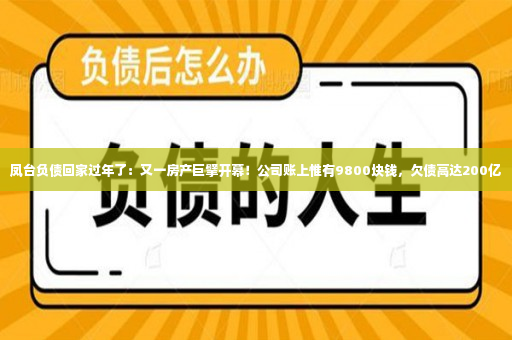 凤台负债回家过年了：又一房产巨擘开幕！公司账上惟有9800块钱，欠债高达200亿