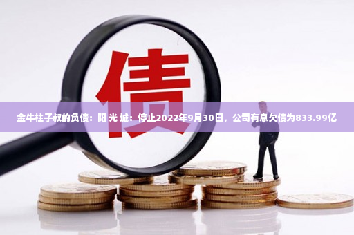 金牛柱子叔的负债：阳 光 城：停止2022年9月30日，公司有息欠债为833.99亿