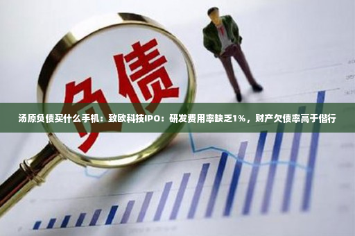 汤原负债买什么手机：致欧科技IPO：研发费用率缺乏1%，财产欠债率高于偕行