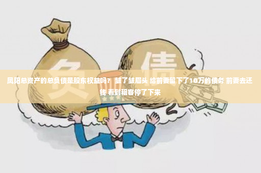 凤阳总资产的总负债是股东权益吗？ 皱了皱眉头 给前妻留下了10万的债务 前妻去还钱 看到租客停了下来