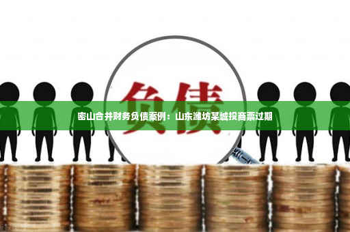 密山合并财务负债案例：山东潍坊某城投商票过期